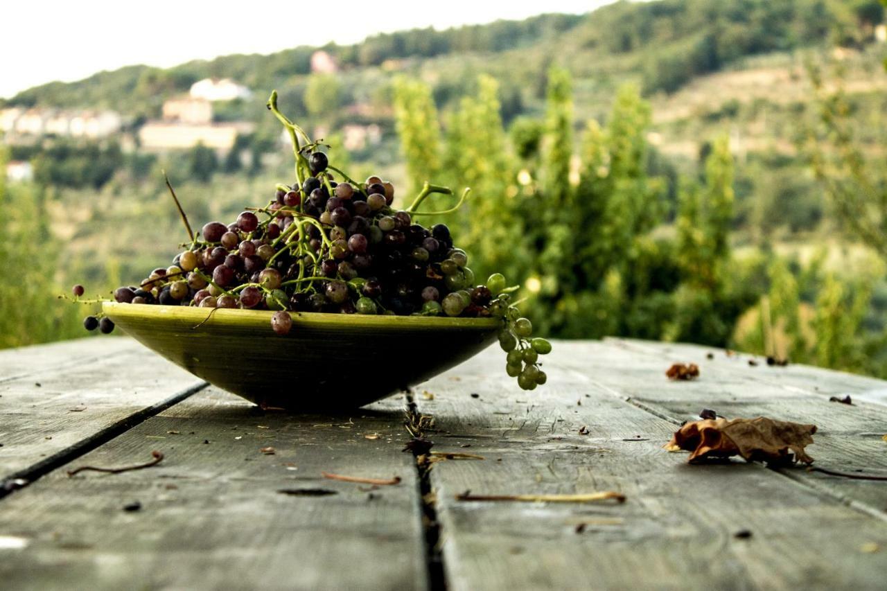 Podere Di Belforte Bagno a Ripoli Exterior foto